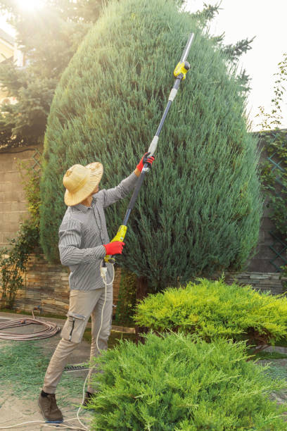 Best Arborist Consultation Services  in Richmond Hill, GA